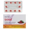 Idelyn Urinal Suplement diety 46,2 g (60 sztuk)